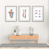 Anatomy art print set with spinal cord, vertebrae, and muscles, ideal for decor.