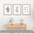 Set of 3 Anatomy Prints - Back Muscles Spine and Vertebrae