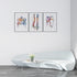 Pelvis Spine and Shoulder Joint Set of 3 Anatomy Pritns