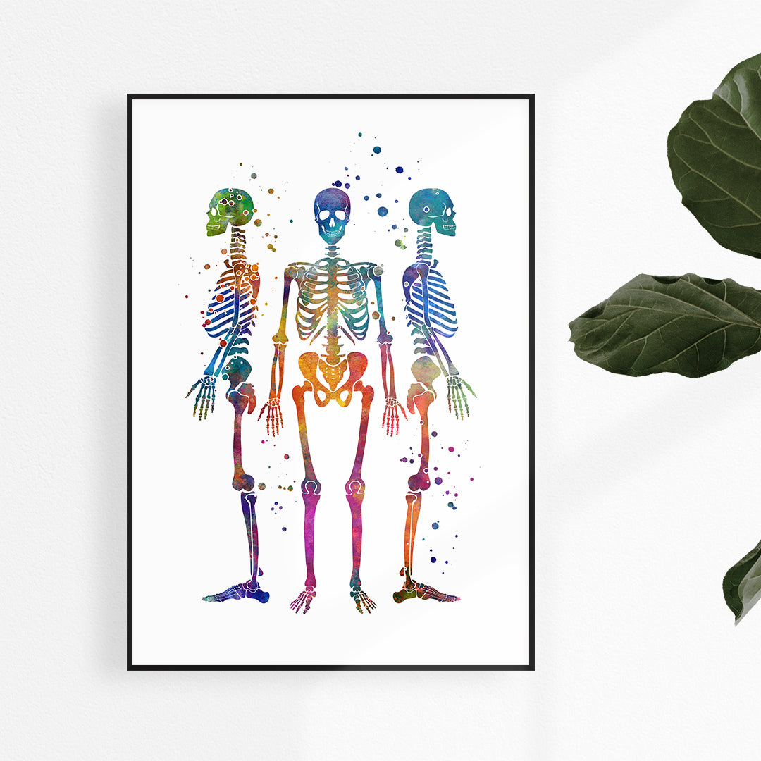 orthopedy clinic decor, watercolor skeletons print