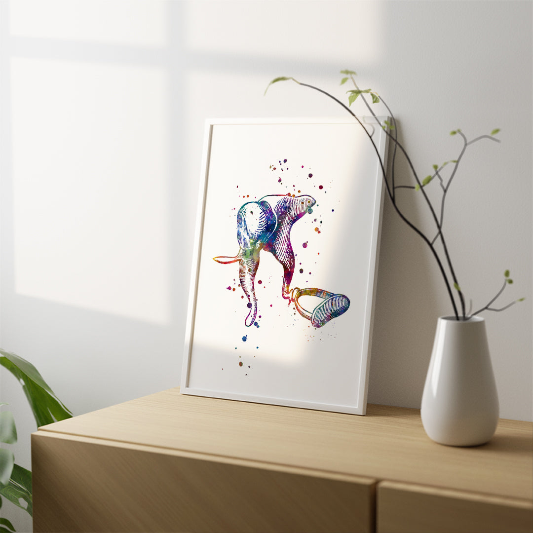 Ossicles Human Ear Anatomy Watercolor Art Print