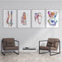 Vibrant anatomical art set including pelvis, foot, spine, and shoulder.