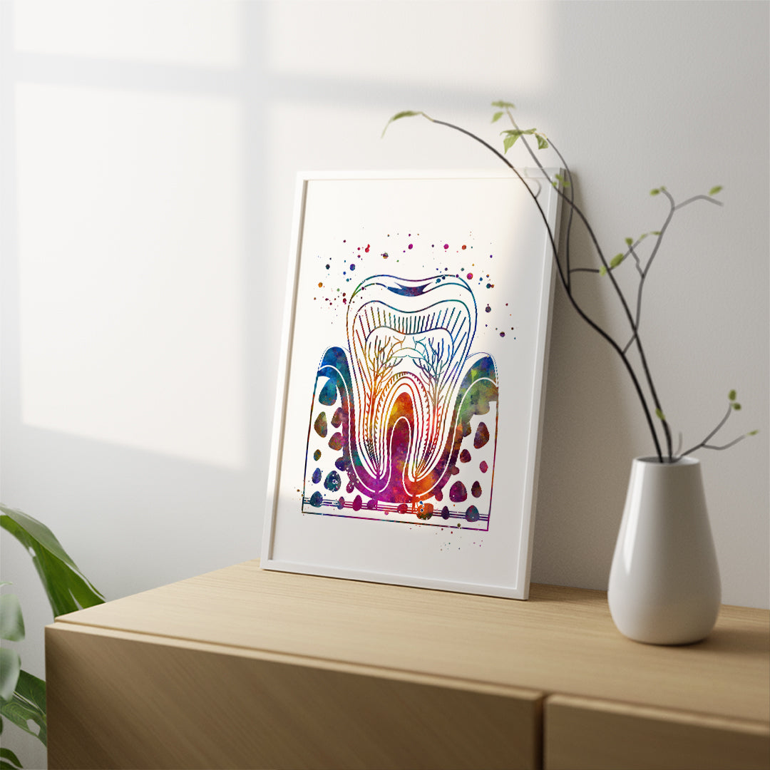 Vibrant molar tooth anatomy print in watercolor, ideal for dental professionals