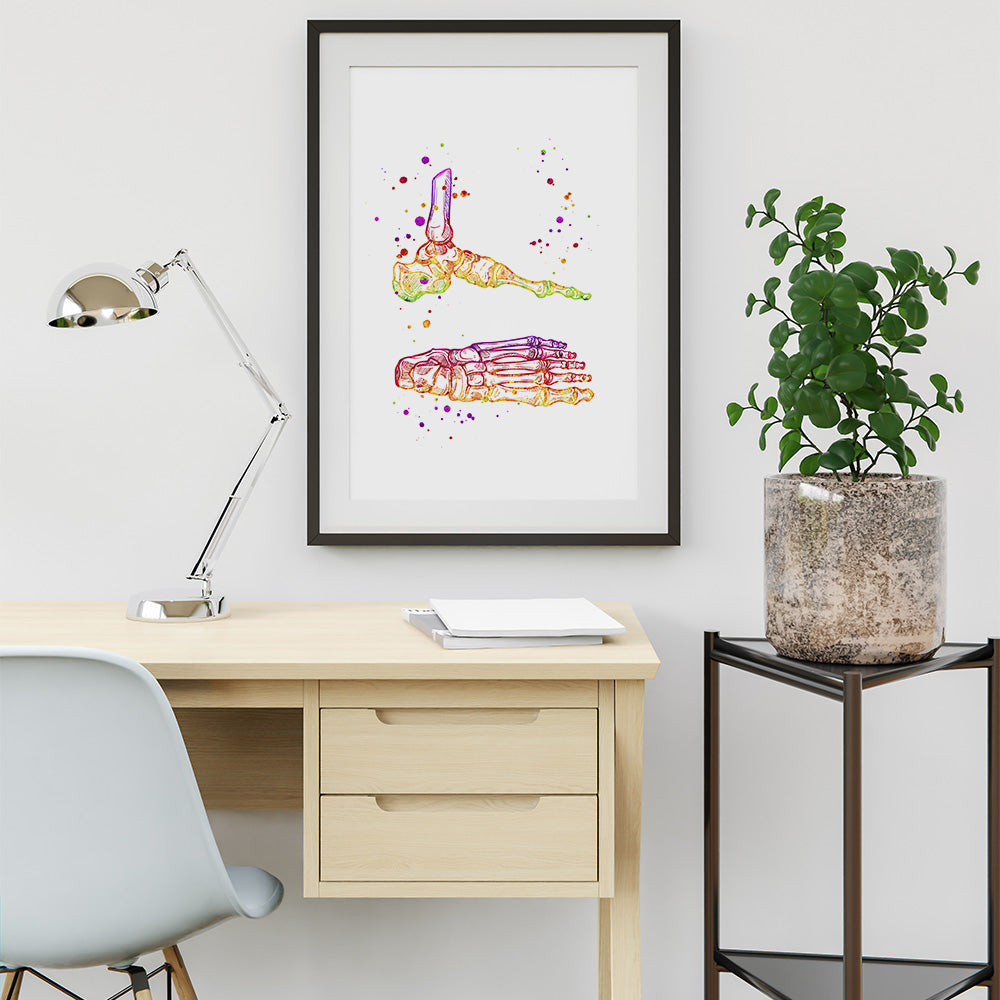 Watercolor Foot and Ankle Anatomy Art Print