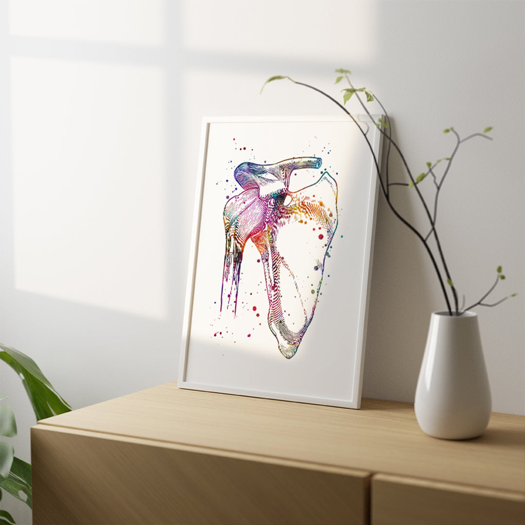 Physiotherapist gift: shoulder joint watercolor anatomical artwork for professional spaces.