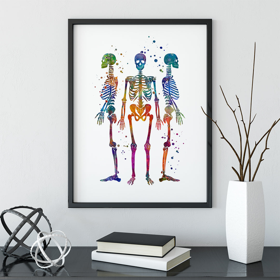 Human Skeletons Watercolor Art Print