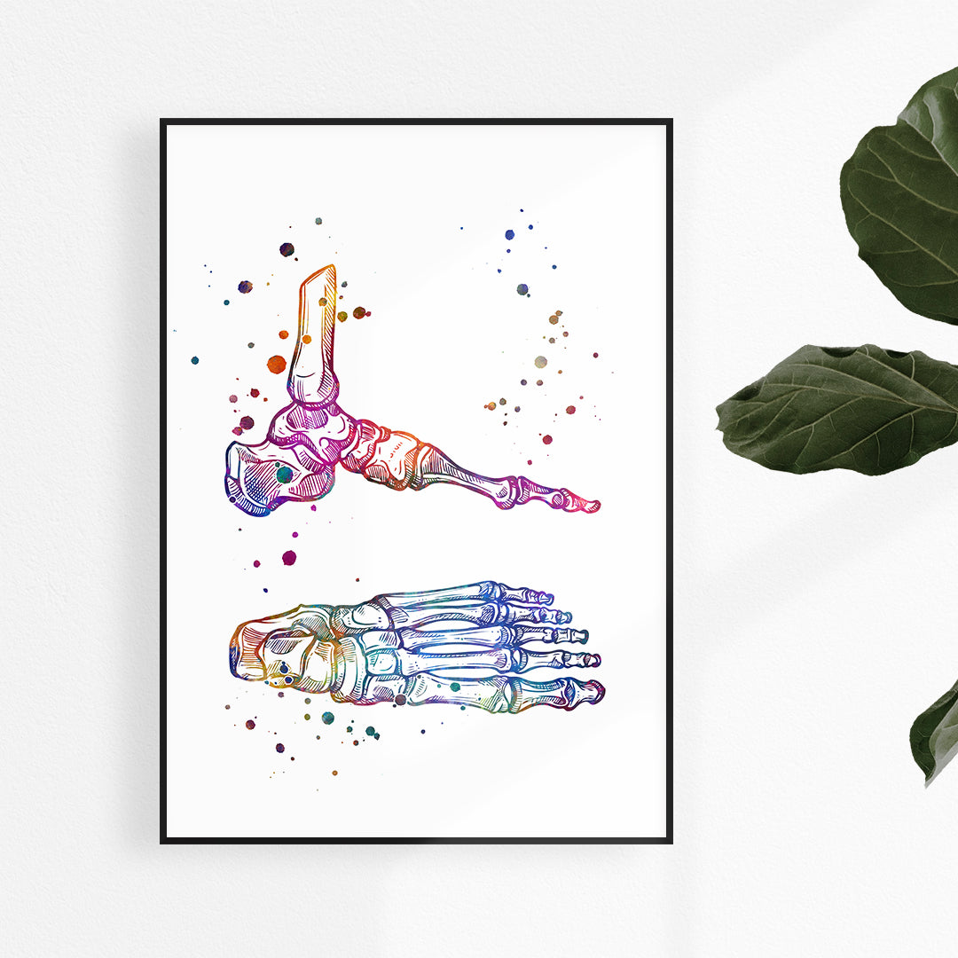 Foot and ankle bones vibrant atercolor artwork for doctor office decoration