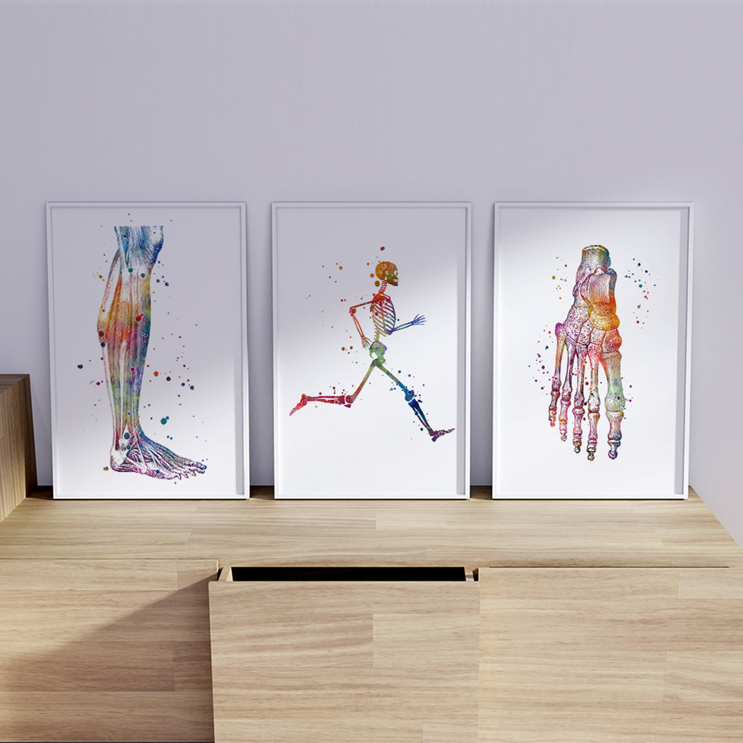 Vibrant watercolor podology art prints of foot anatomy for podiatrist office decor.