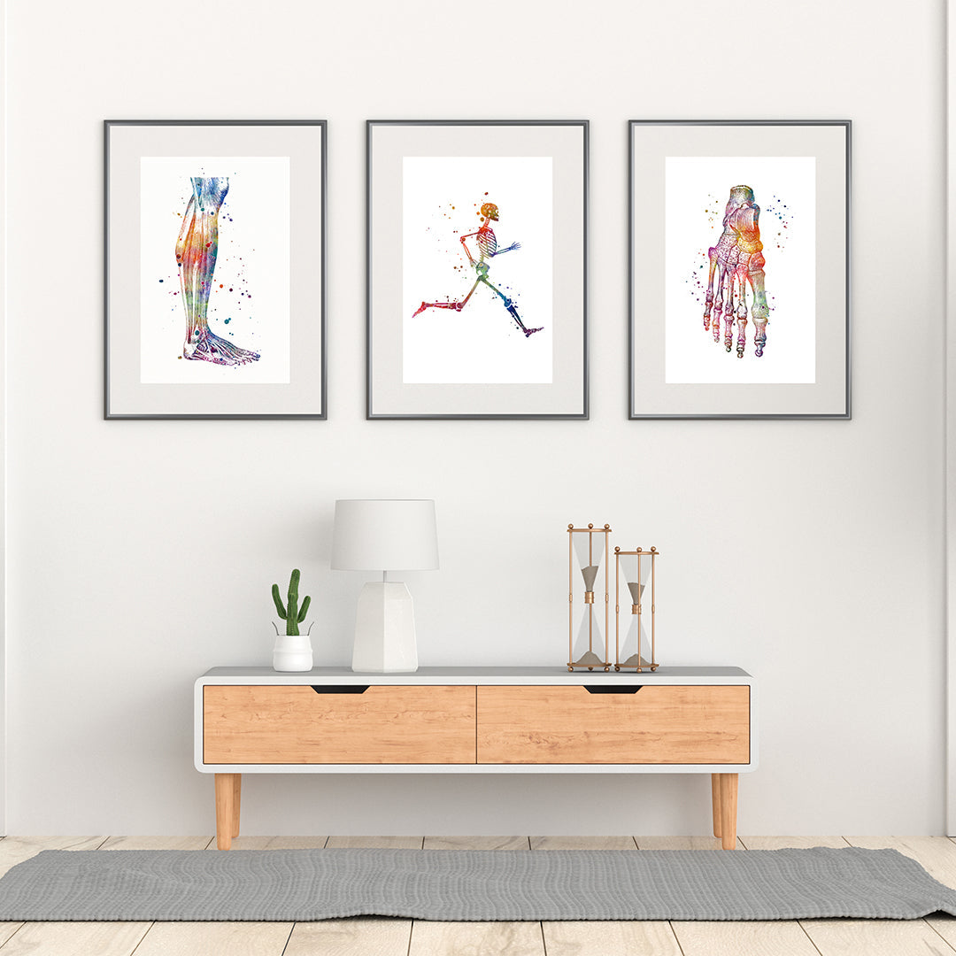 Podiatry Art Set of 3 Watercolor Prints