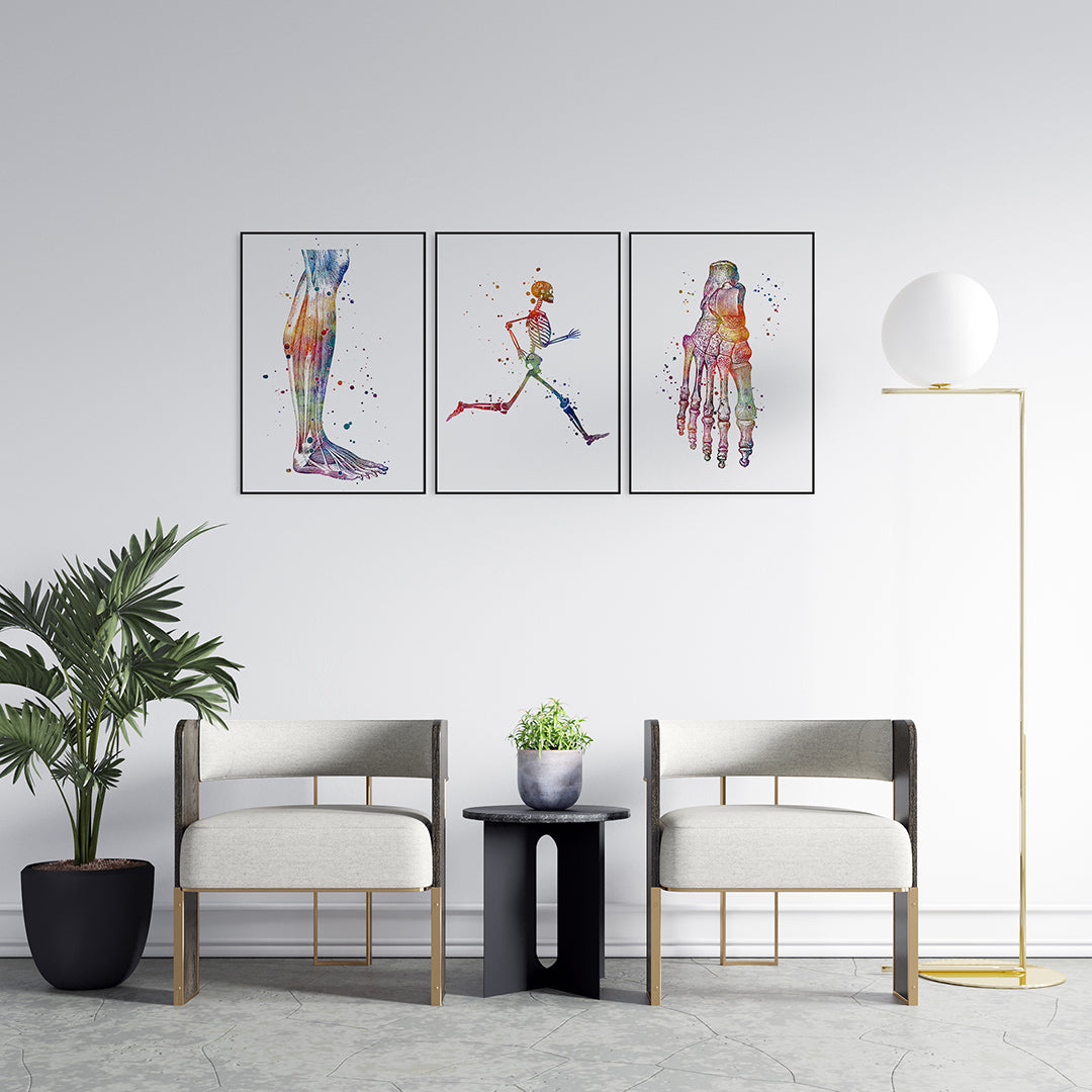 Podiatry Art Set of 3 Watercolor Prints