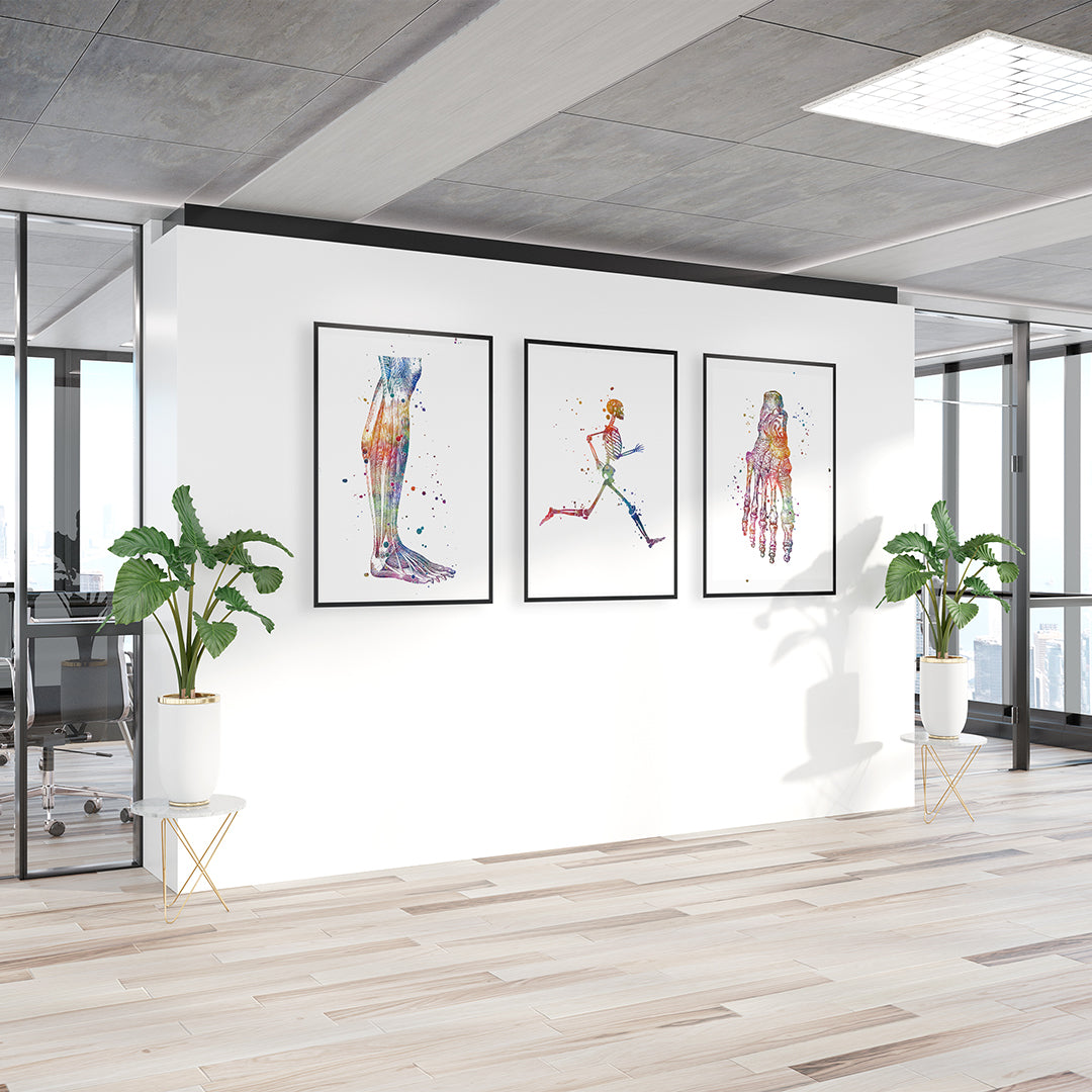 Podiatry Art Set of 3 Watercolor Prints