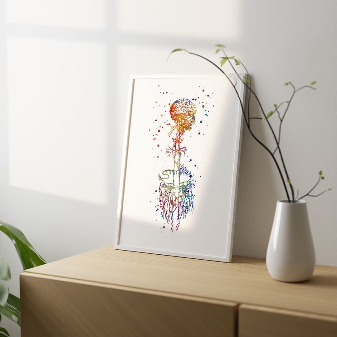 Medical watercolor print of the Vagus Nerve, ideal for clinics or study spaces.