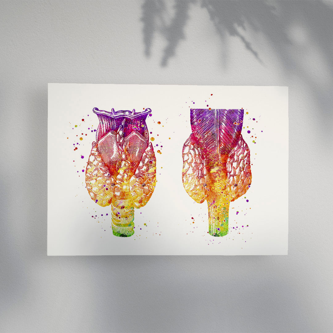 Human Thyroid Gland Watercolor Anatomical Art Print