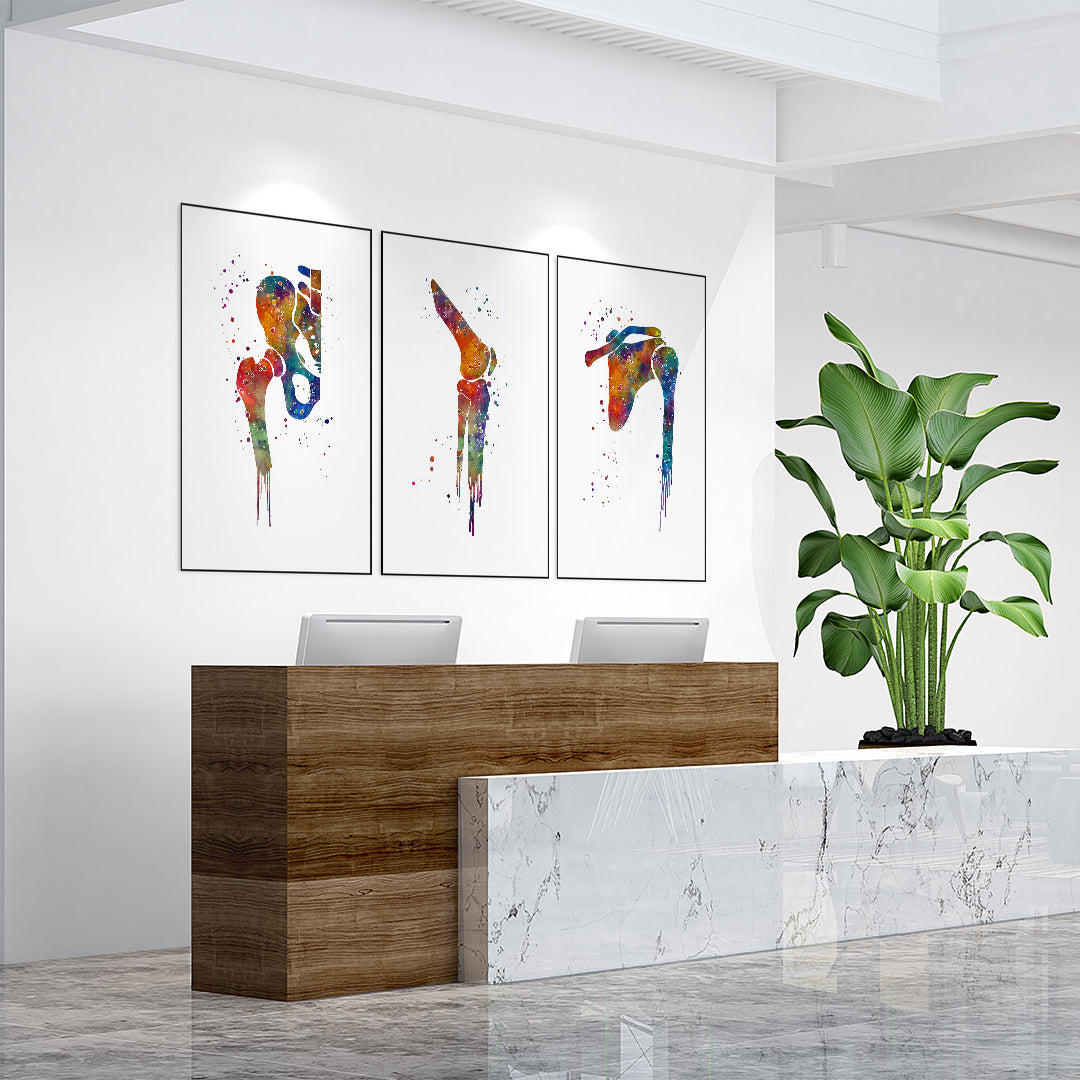 Hip Joint Knee and Shoulder Watercolor Prints Set of 3
