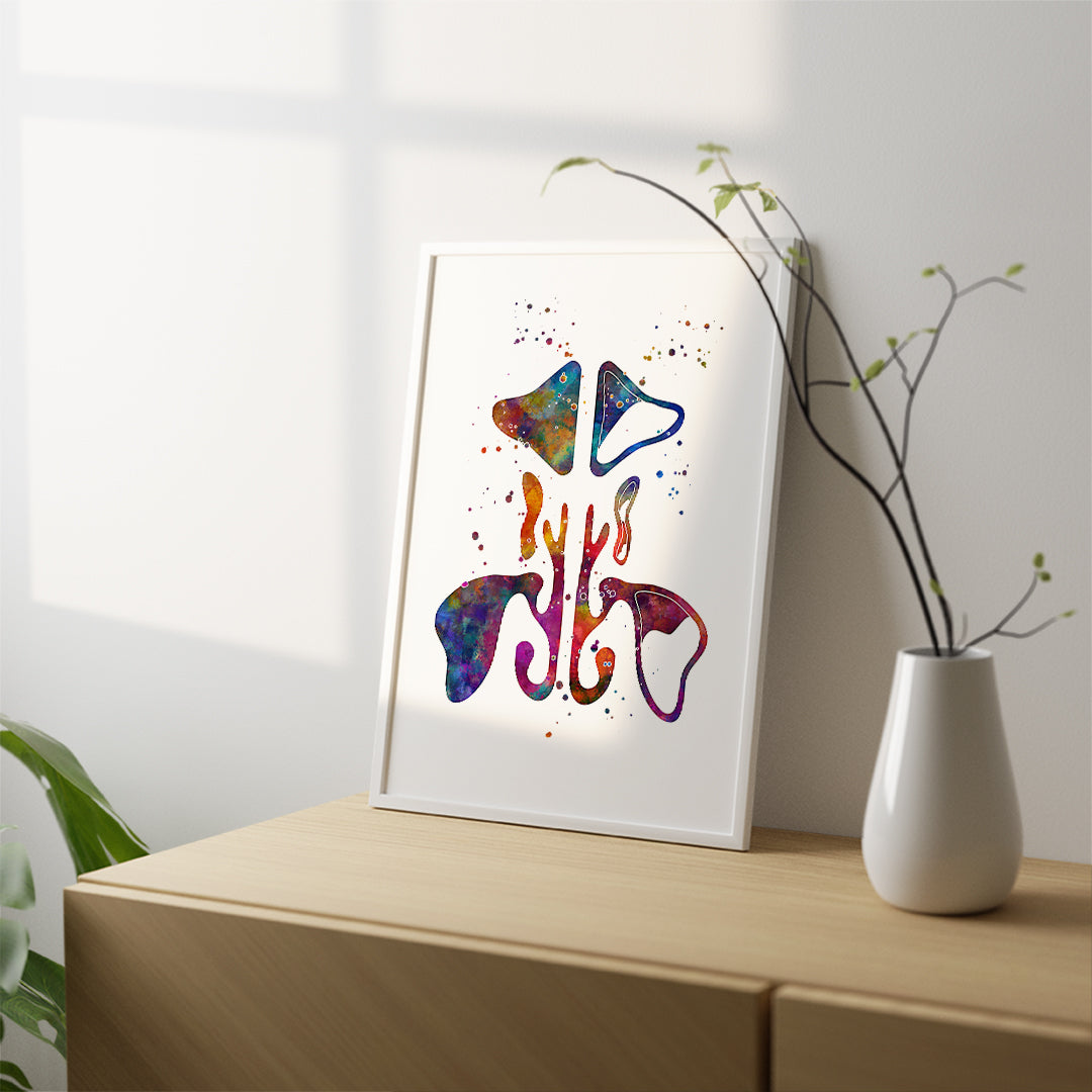 Paranasal Sinuses Watercolor Anatomy Art Print
