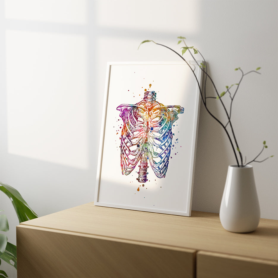 Human Chest Skeleton Rib Cage Anatomy Watercolor Art Print