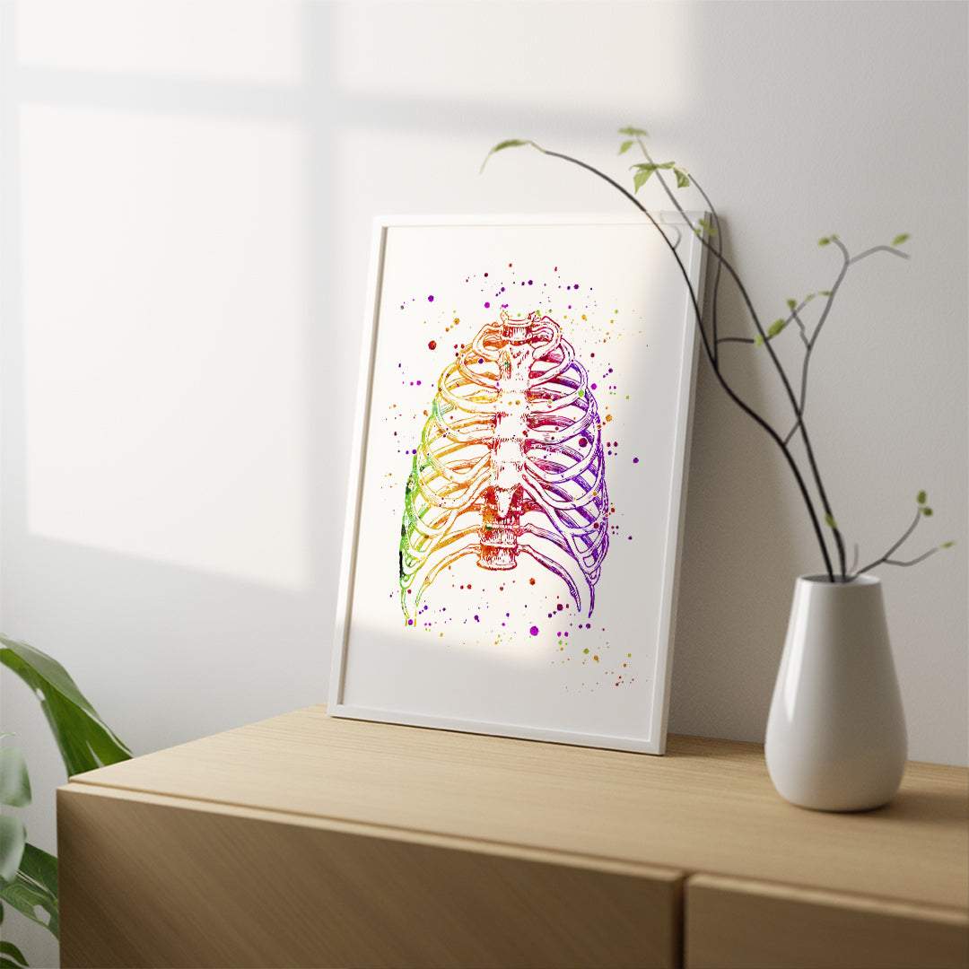 Rib Cage artsy human anatomy poster