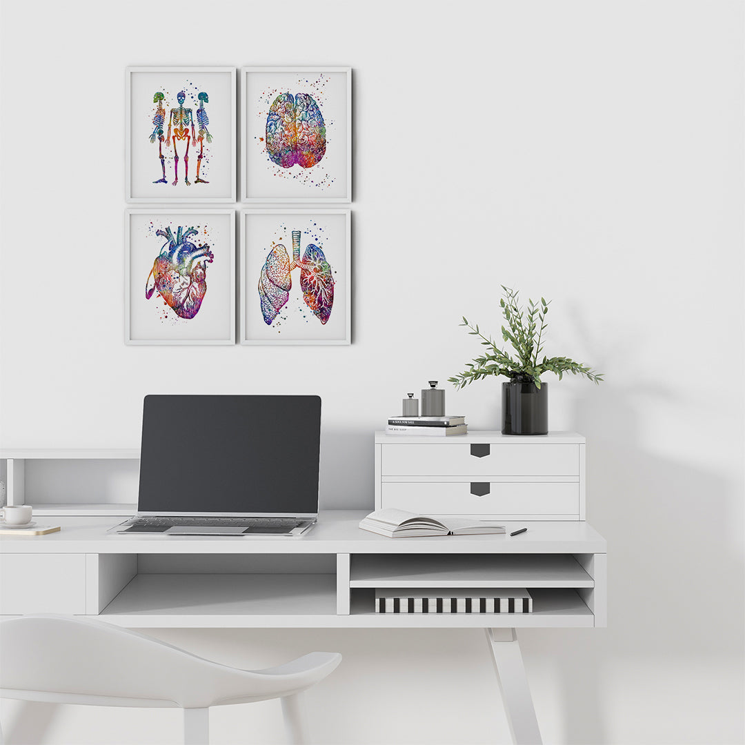 Anatomy Art Set of 4 Colorful Watercolor Prints