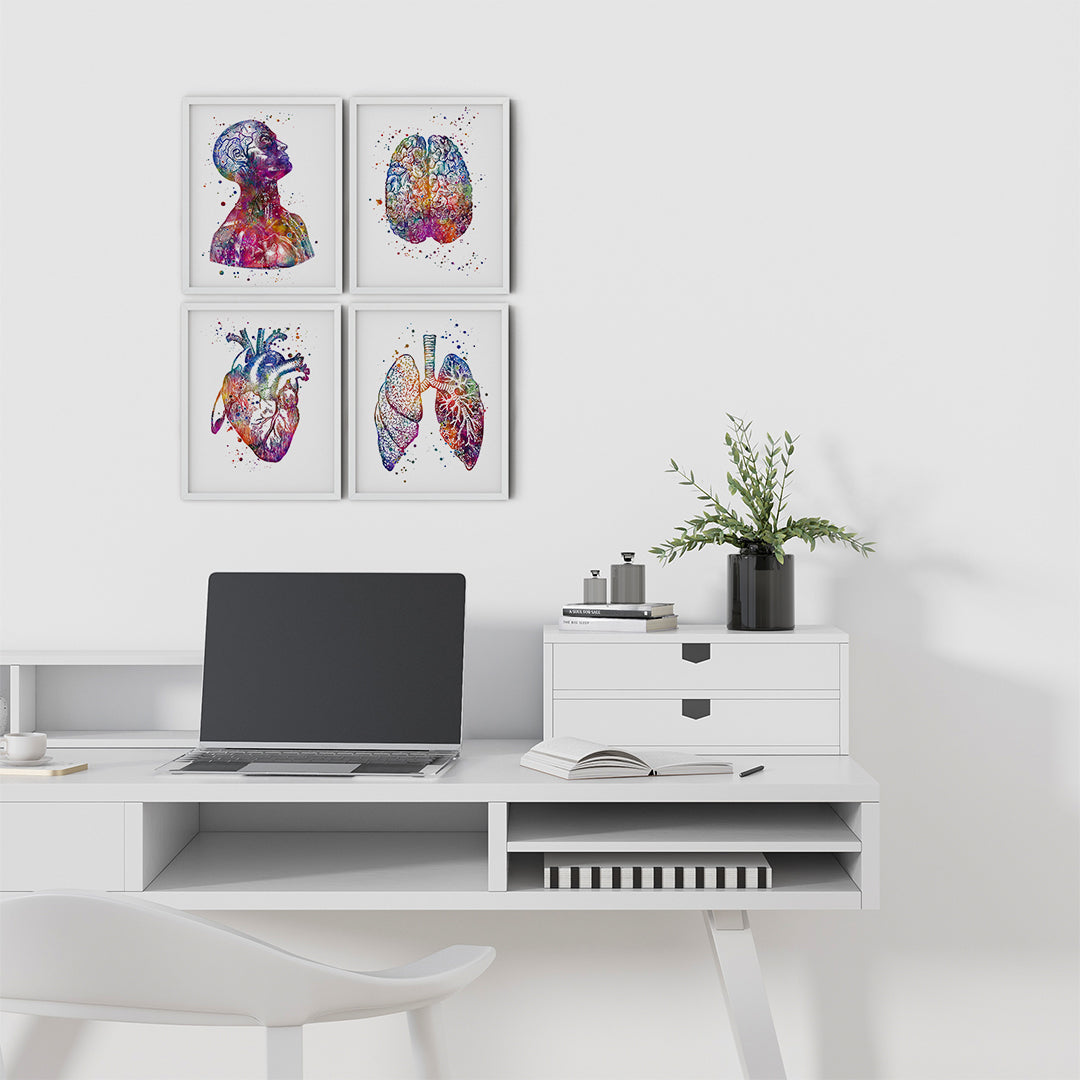 Anatomy Art DEALS Set of 4 Prints for Doctor Office Decor