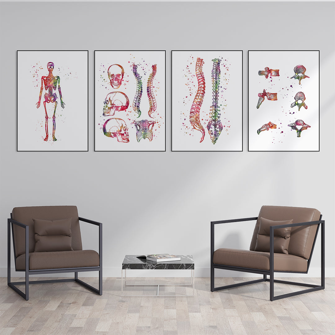 Set of 4 Anatomical Art Prints for Chiropractic Office Decor