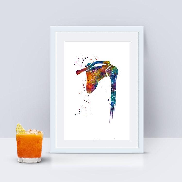 Shoulder Joint Watercolor Anatomy Art Print