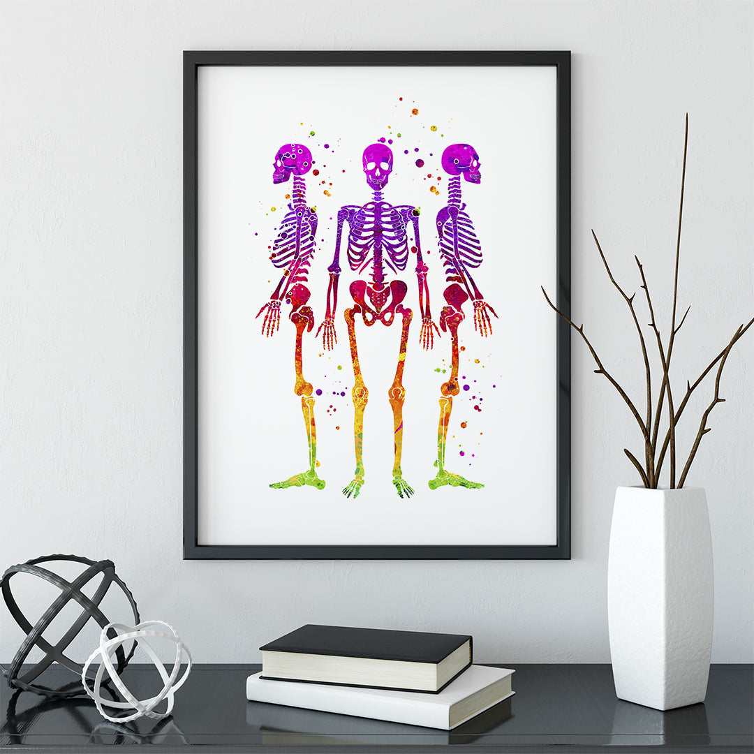Skeletons Watercolor Art Print Human Anatomy Wall Art