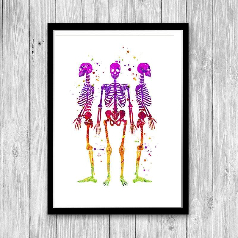 Skeletons Watercolor Art Print Human Anatomy Wall Art