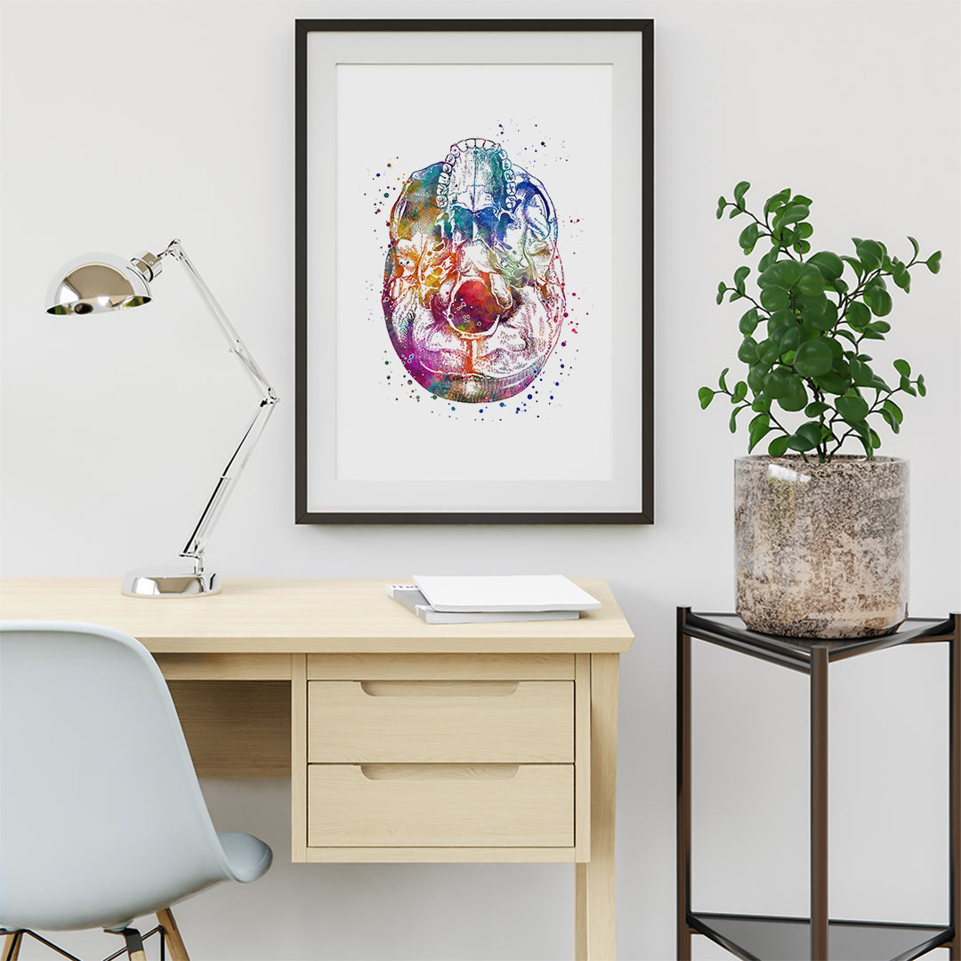 Bottom View Skull Watercolor Art Print