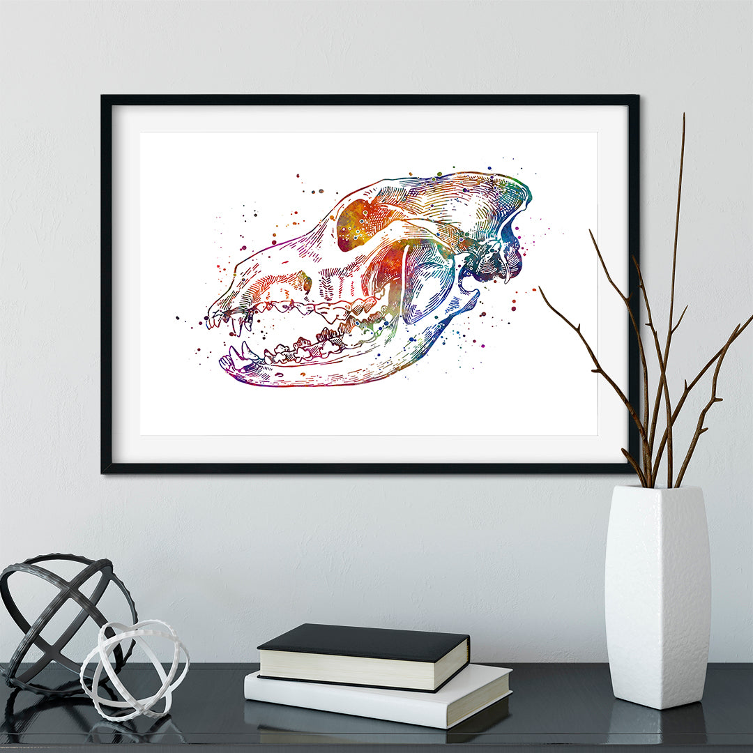 Resin canine dog skull anatomy art print