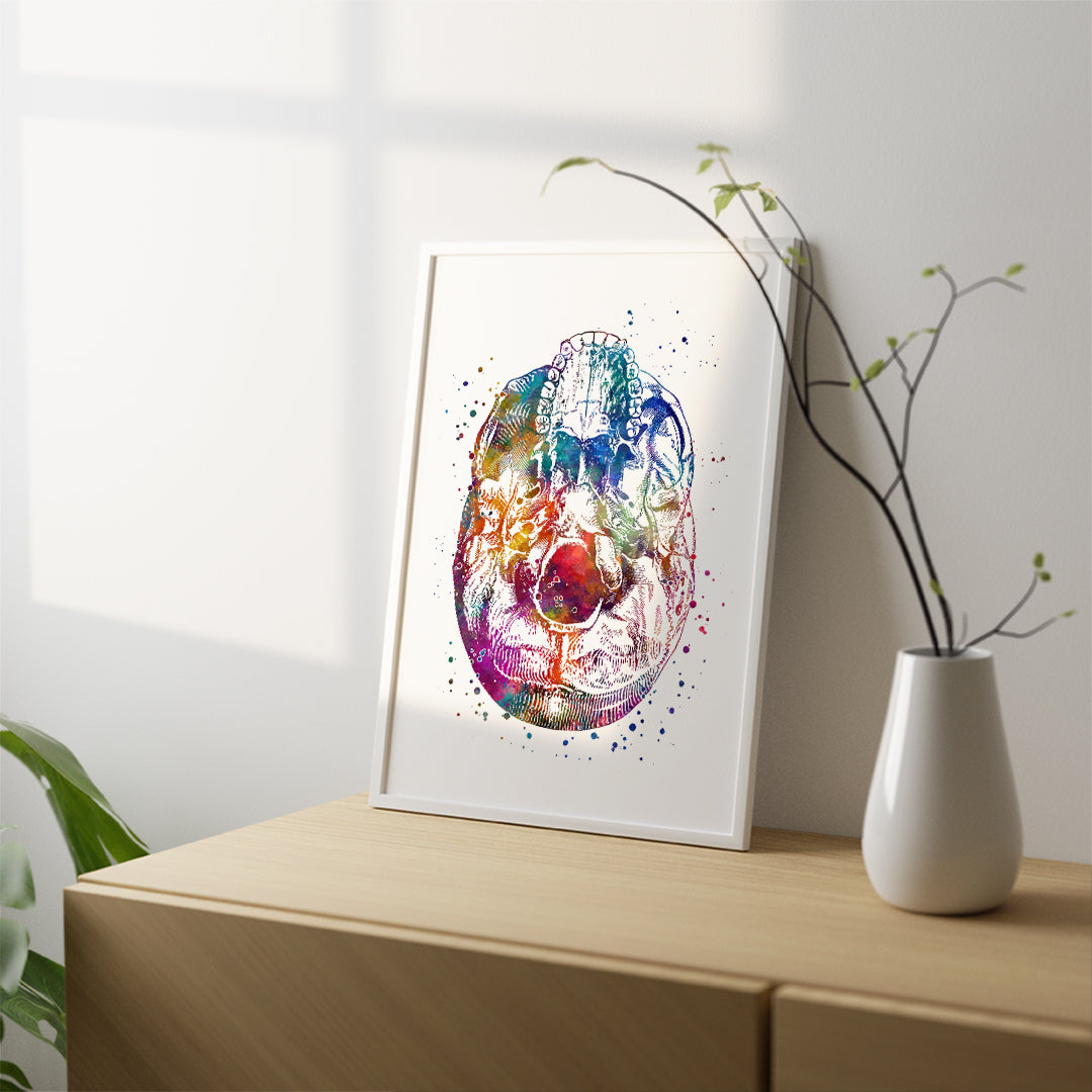 Bottom View Skull Watercolor Art Print
