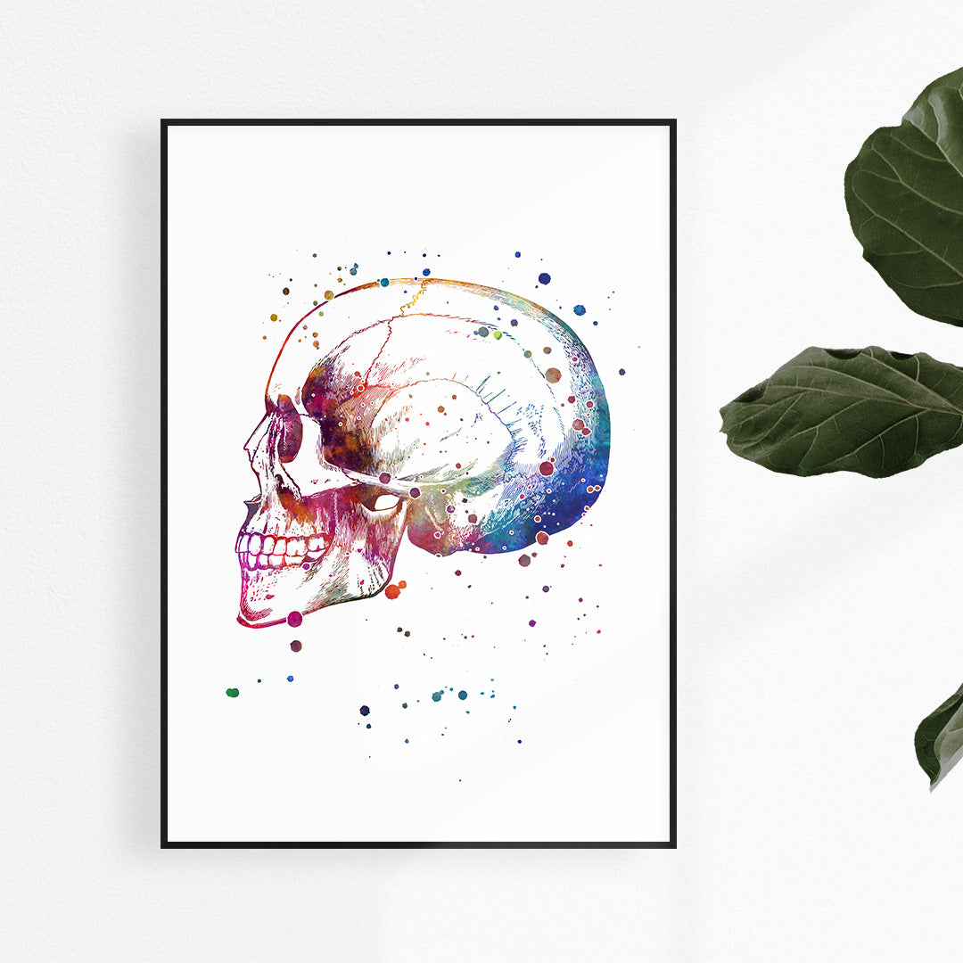 Skull Anatomy Watercolor Print – Medical Office Wall Art