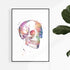 Skull medical art watercolor print for doctor office wall decor