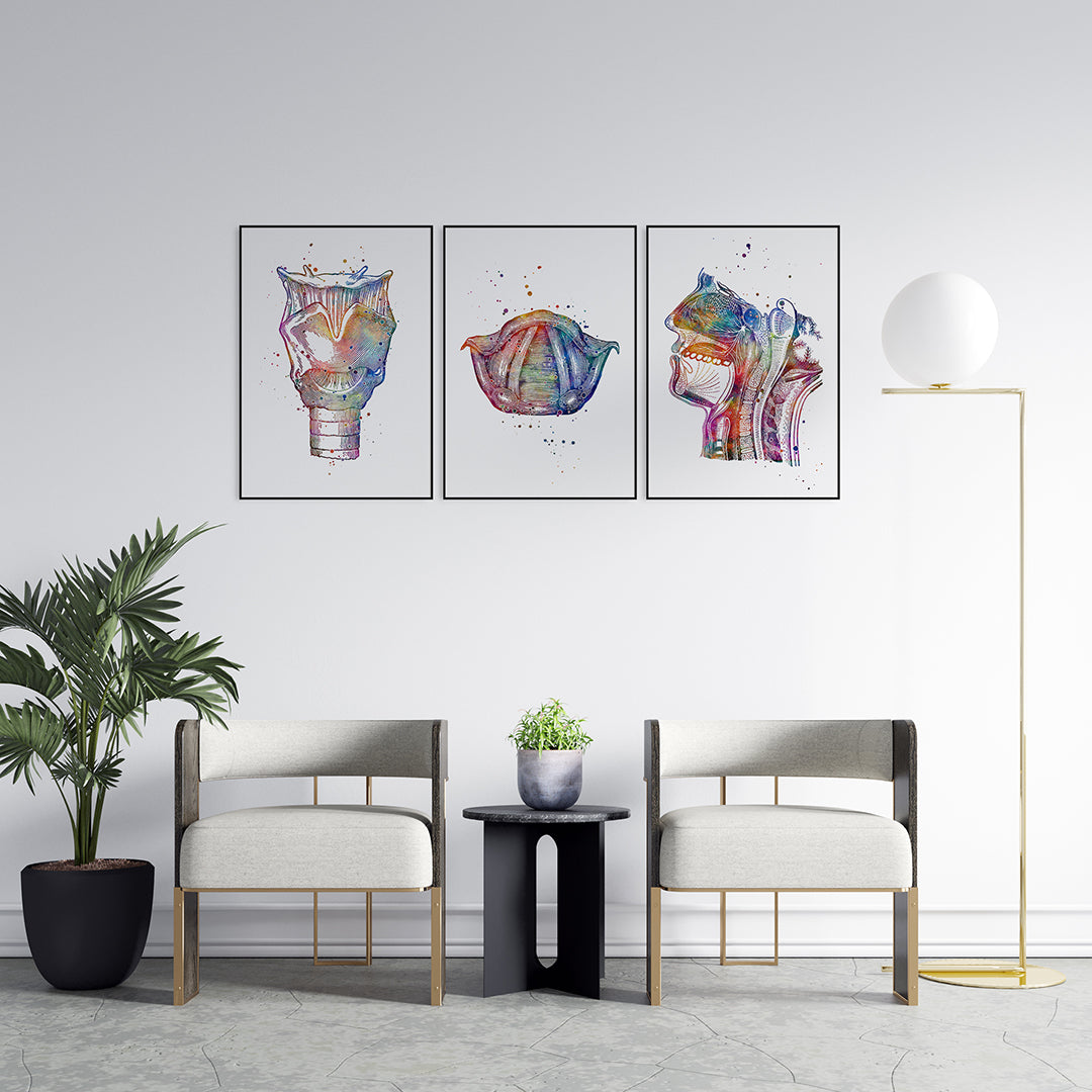 Speech Language Therapy Wall Art – Set of 3 Anatomy Prints