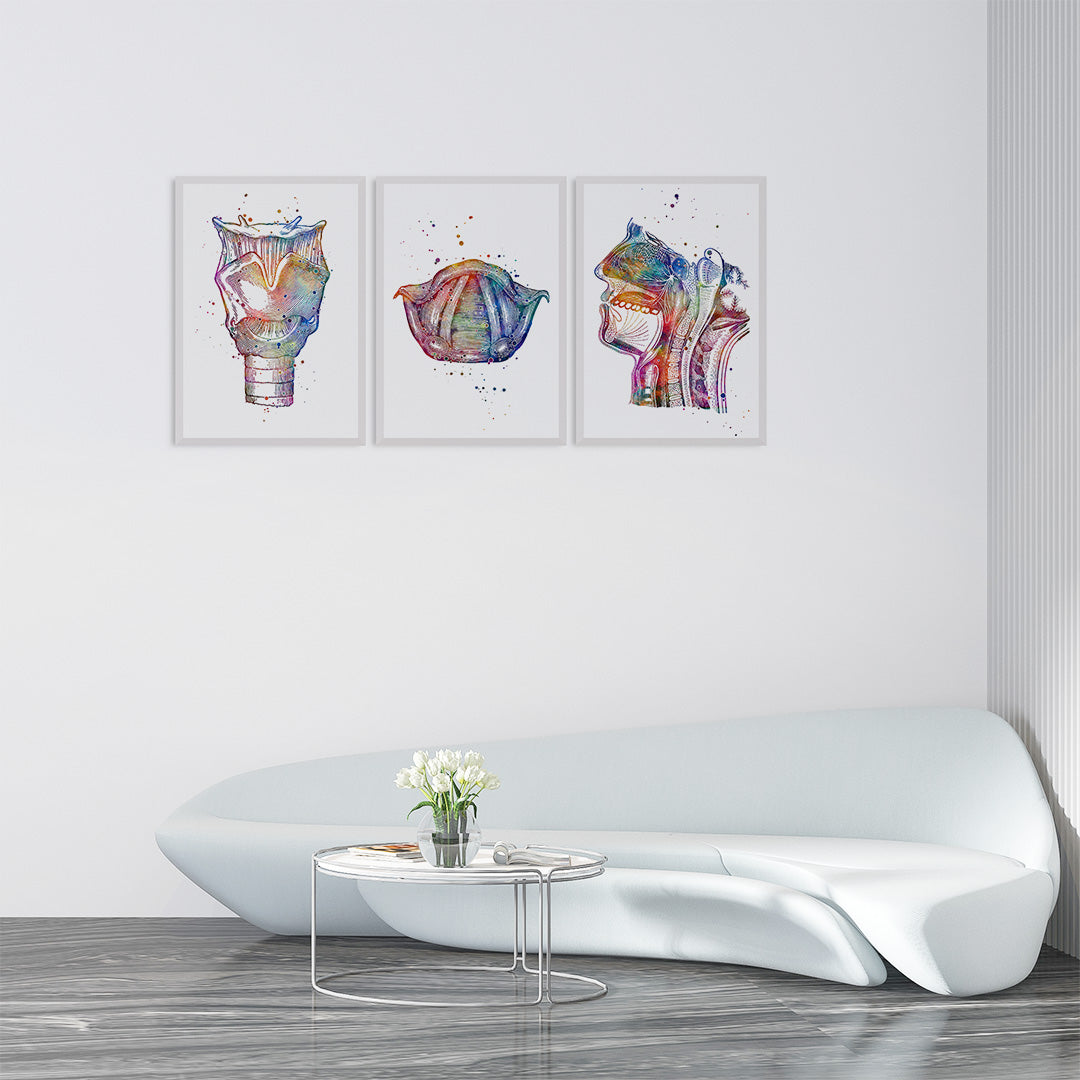 Vibrant watercolor anatomy art set ideal for speech therapy spaces.