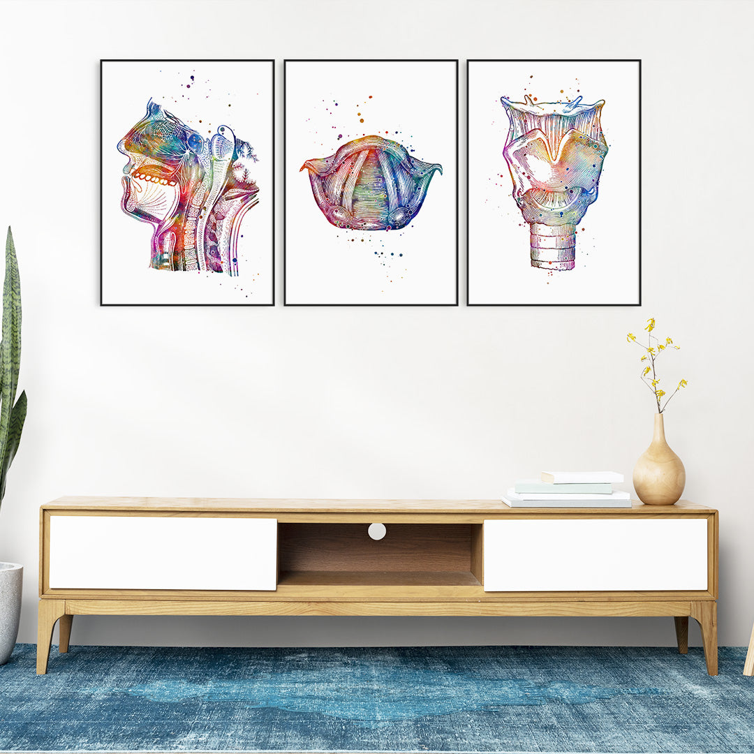 Set of 3 speech-language therapy anatomy art prints with vibrant watercolor designs.