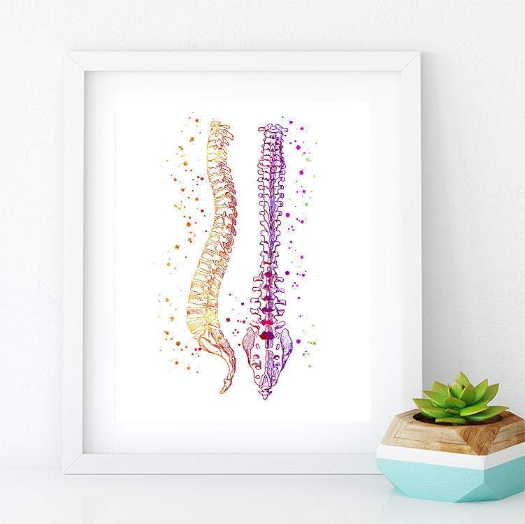 Spinal Column Human Spine Anatomical Watercolor Art Print