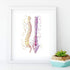 Spinal Column Human Spine Anatomical Watercolor Art Print