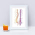 Spinal Column Human Spine Anatomical Watercolor Art Print