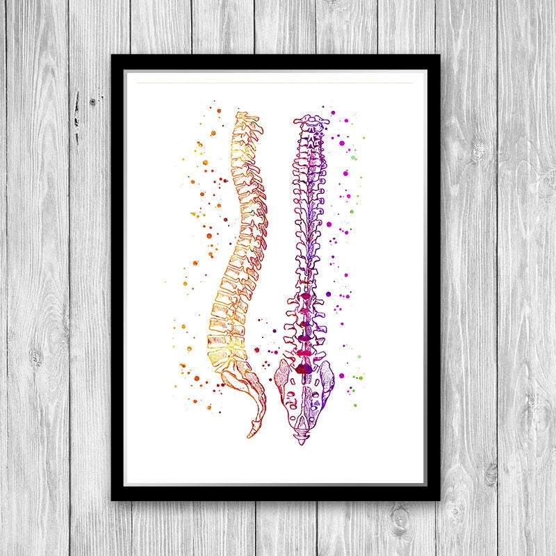 Spinal Column Human Spine Anatomical Watercolor Art Print