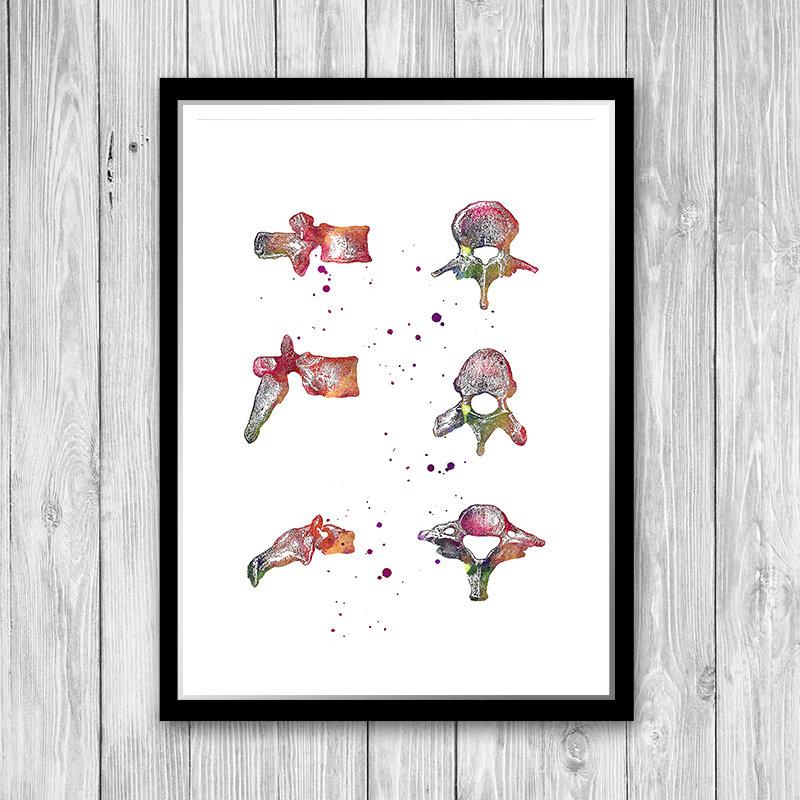 Spine Skeleton and Vertebral Bones Set of 3 watercolor prints