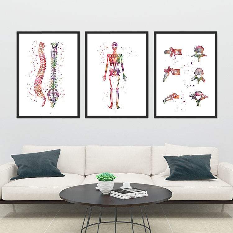 Spine Skeleton and Vertebral Bones Set of 3 watercolor prints
