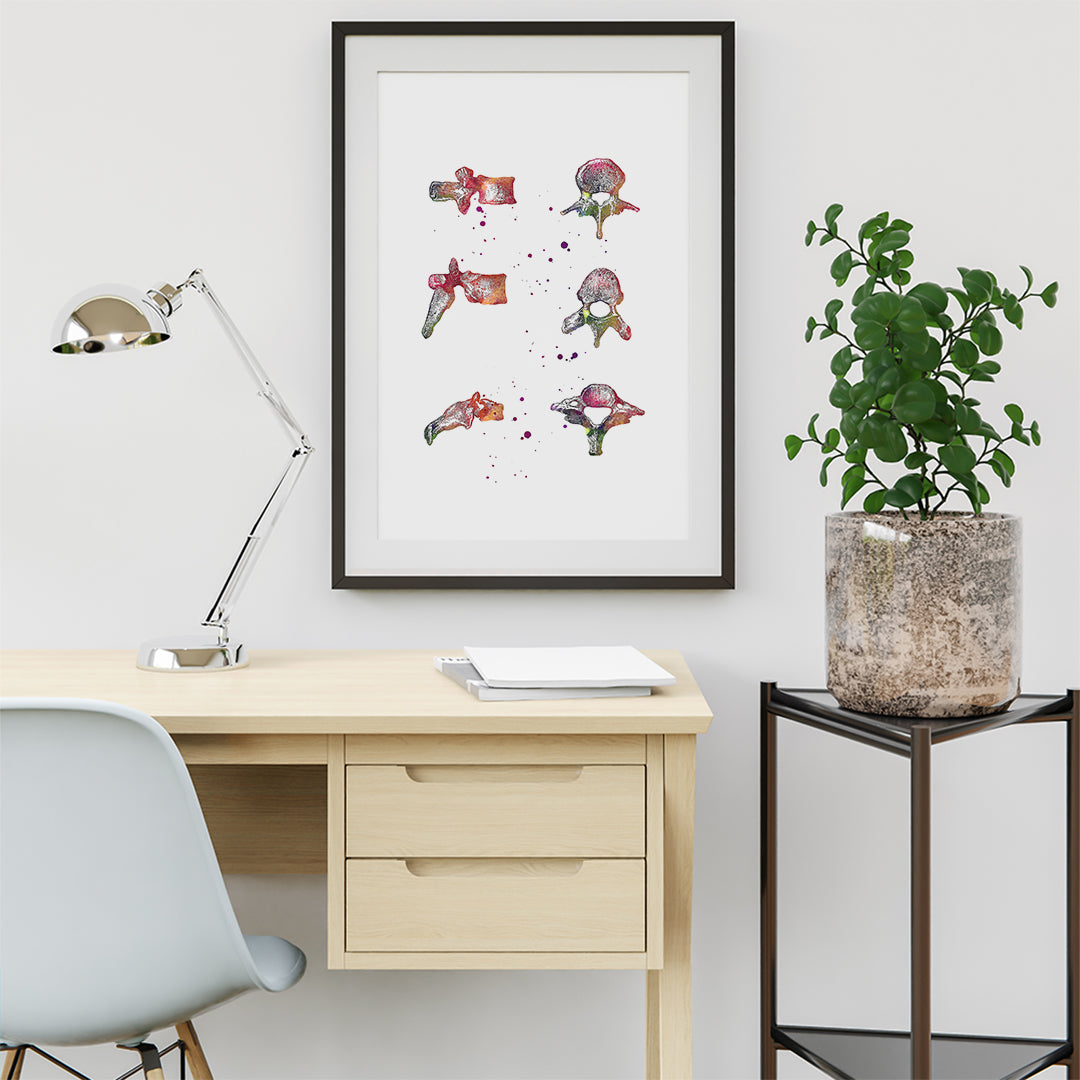 Designed with medical professionals in mind, this vertebrae bones watercolor print is an eye-catching representation of spinal anatomy. Whether you’re an orthopedic surgeon, chiropractor, physical therapist, or neurosurgeon, this artwork is a perfect blend of art and science. 