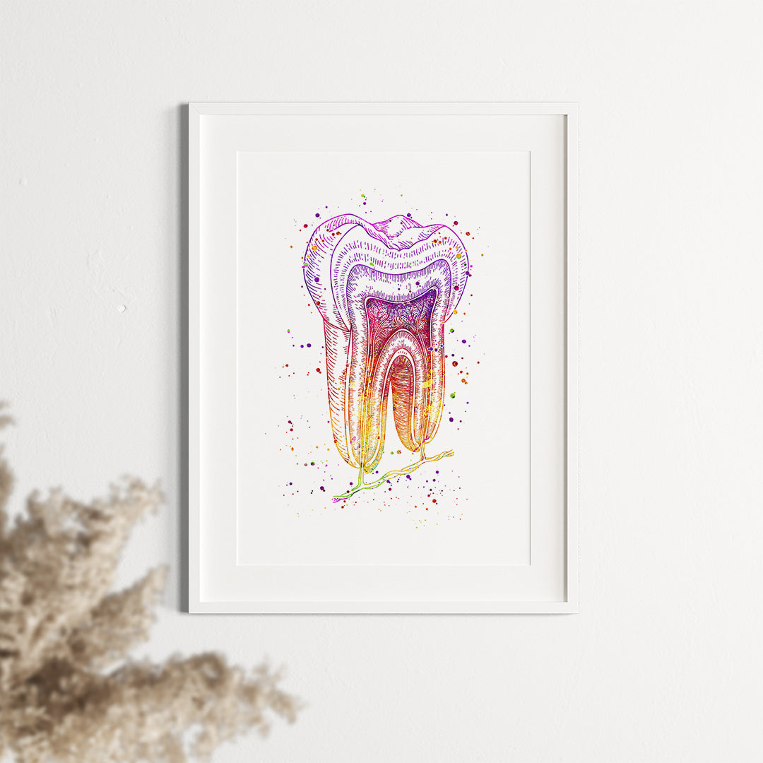 Vibrant watercolor art print of tooth structure, perfect for dental clinic or office decor