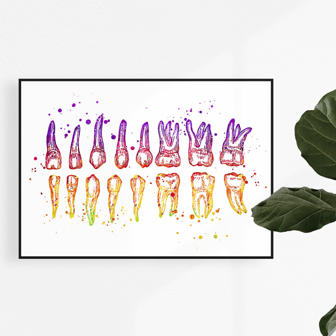 Teeth Diagram Watercolor Print – Colorful Dental Wall Art