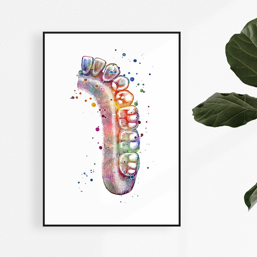 Human teeth picture - Modern wall art decor for dentist office