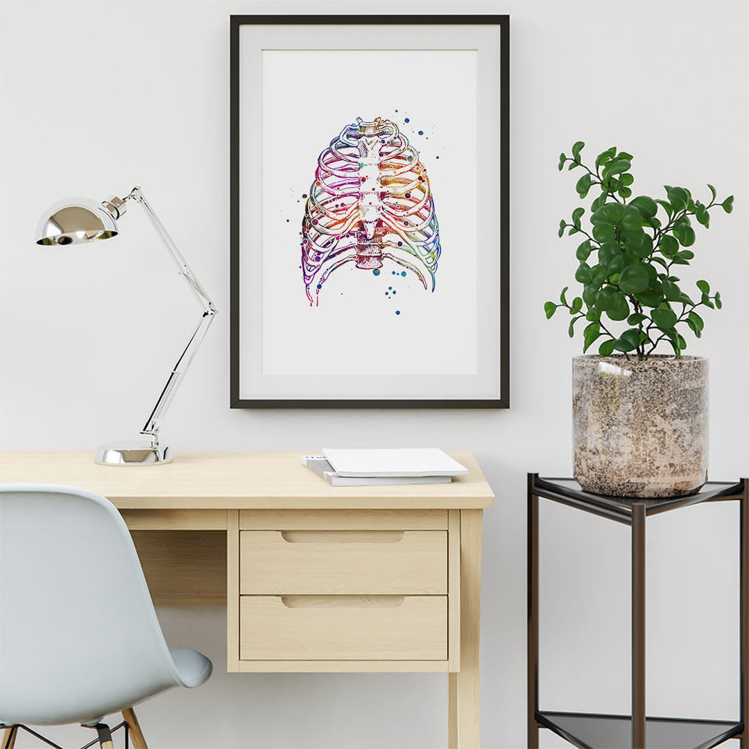 Thoracic cage anatomical artwork for clinic wall art decor