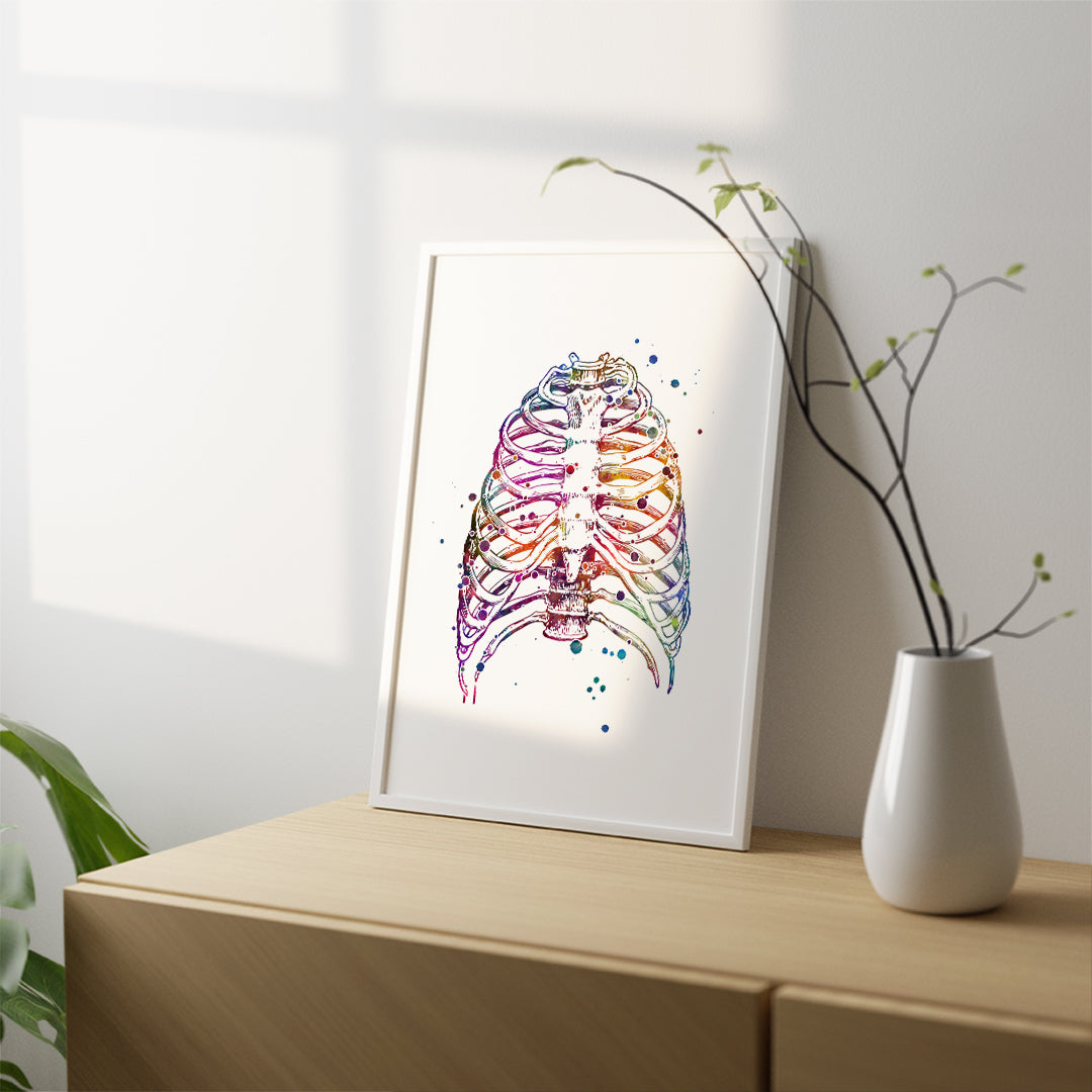 Thoracic cage multicolored watercolor artwork 