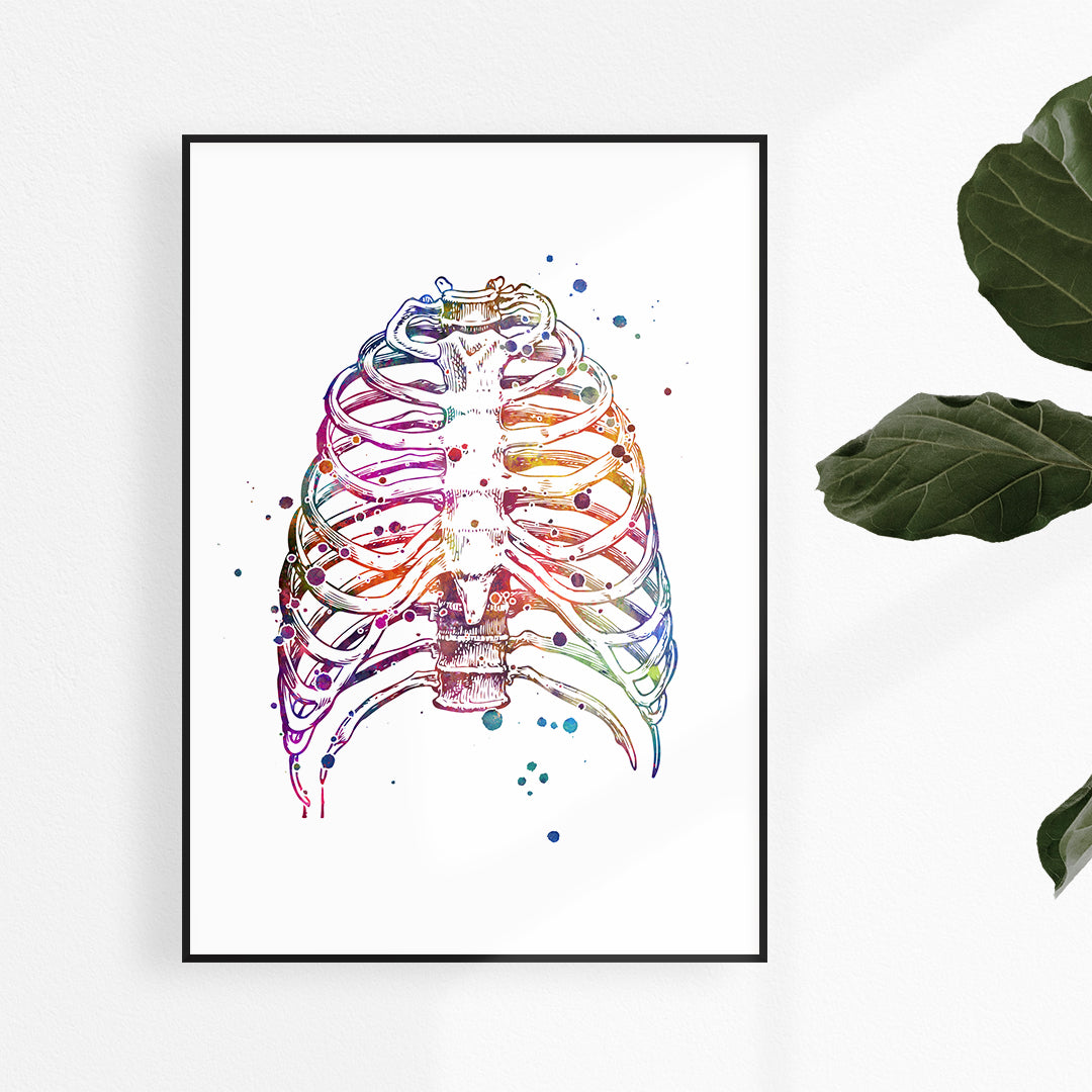 Thoracic cage anatomy art watercolor print for doctor office decor