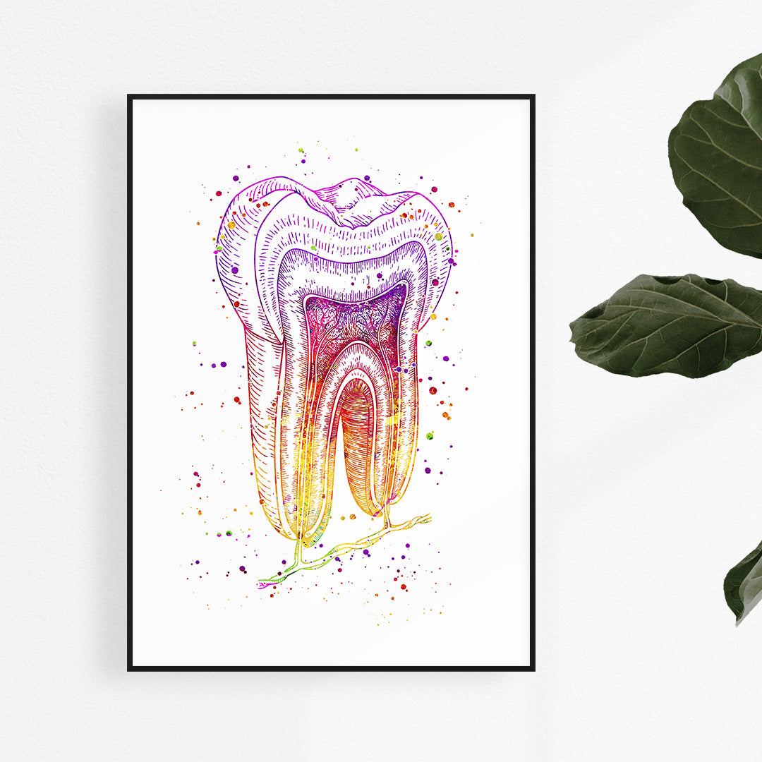 Tooth structure watercolor print showing anatomical detail for dental offices and educational decor