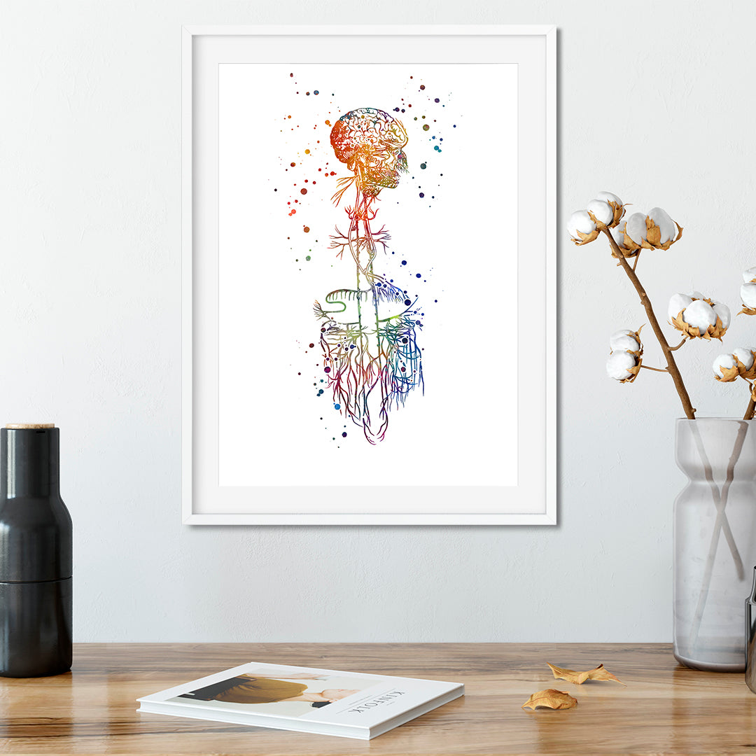 Vagus Nerve watercolor artwork for neurologists and anatomy enthusiasts.